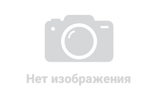 Купить товар - Насос ГУР FO 010MR в Выборе